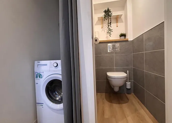 Aspin By Yume Toulouse